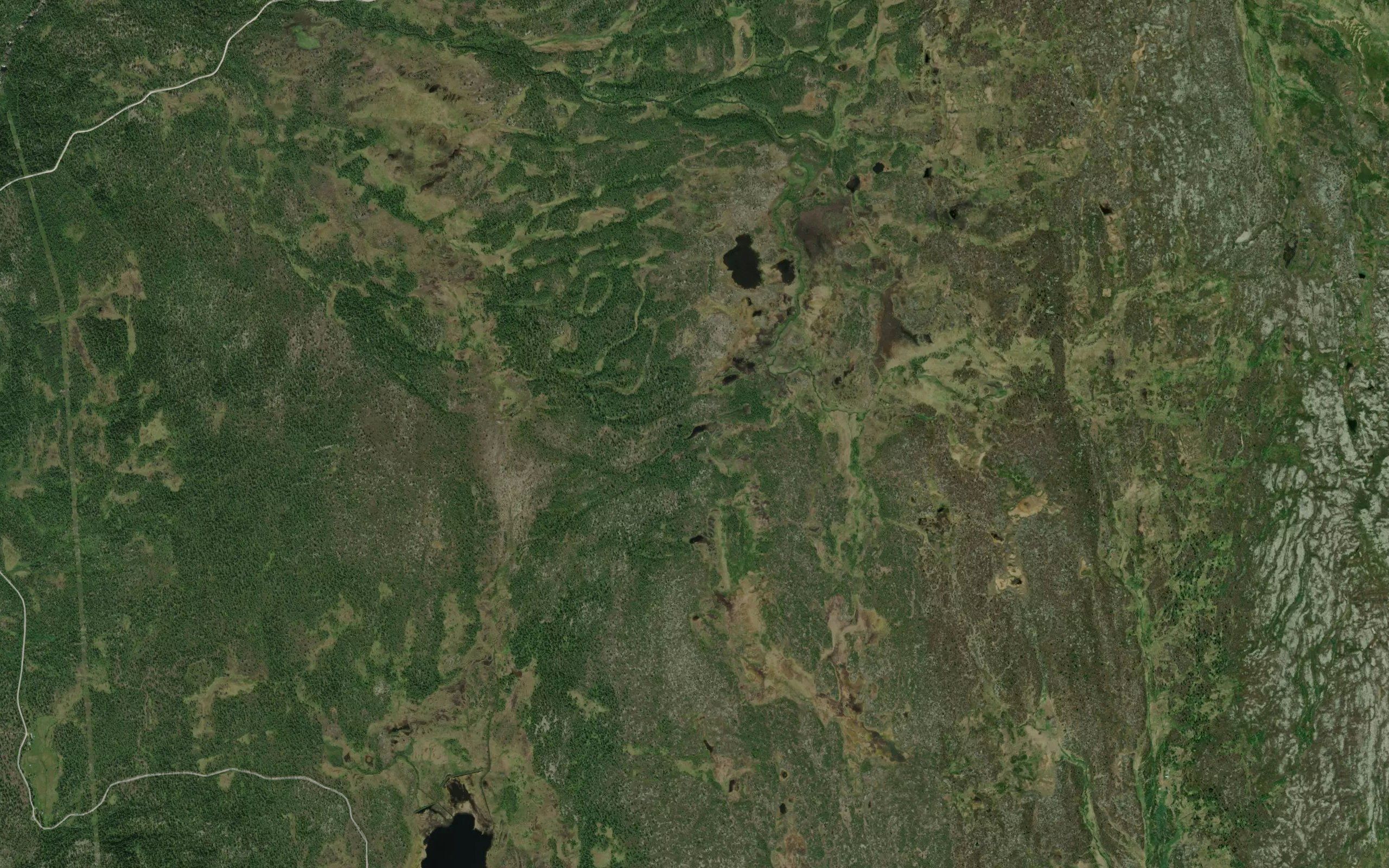 Langtjorna