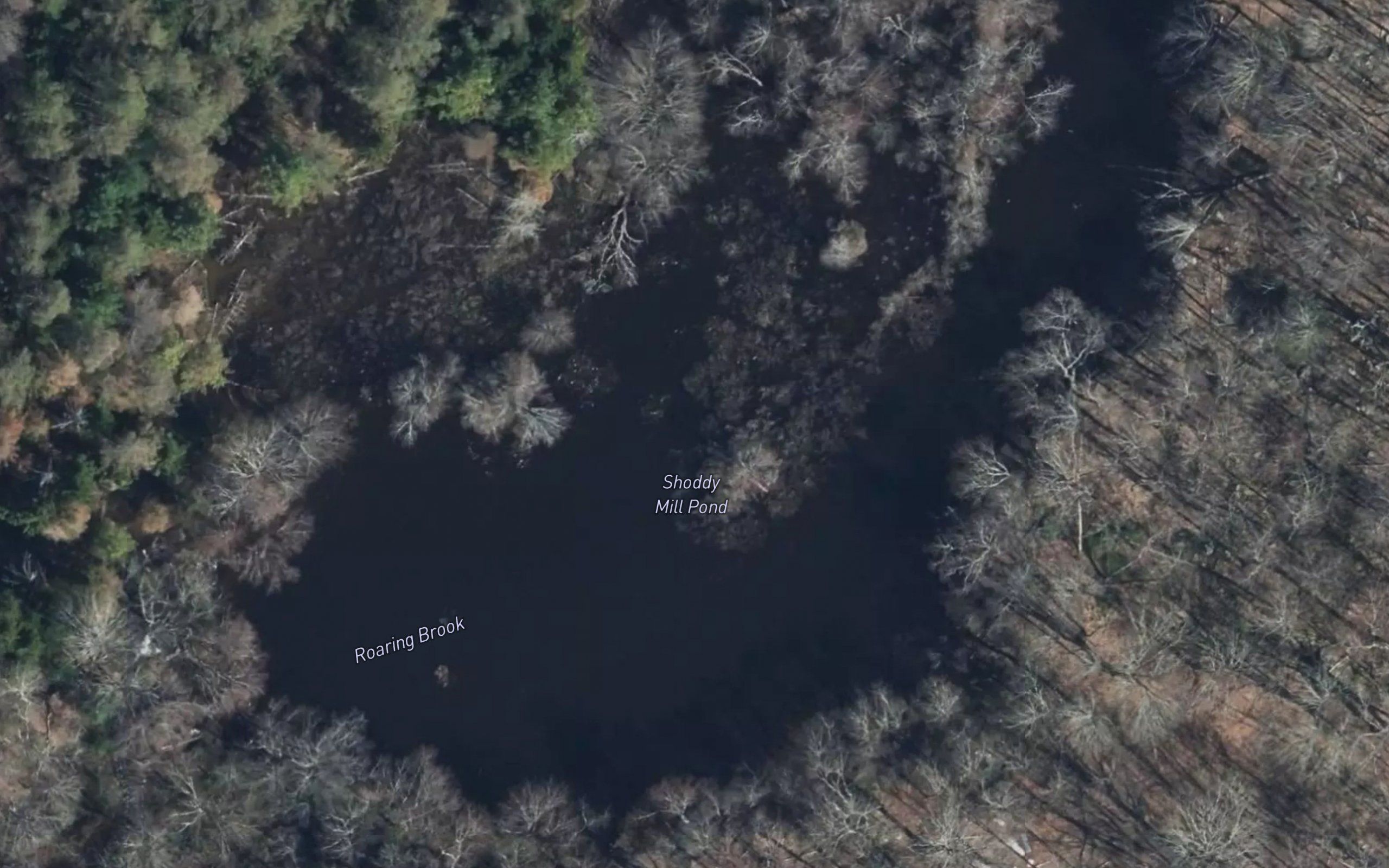 Shoddy Mill Pond