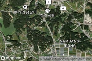 Nambaengijeosuji