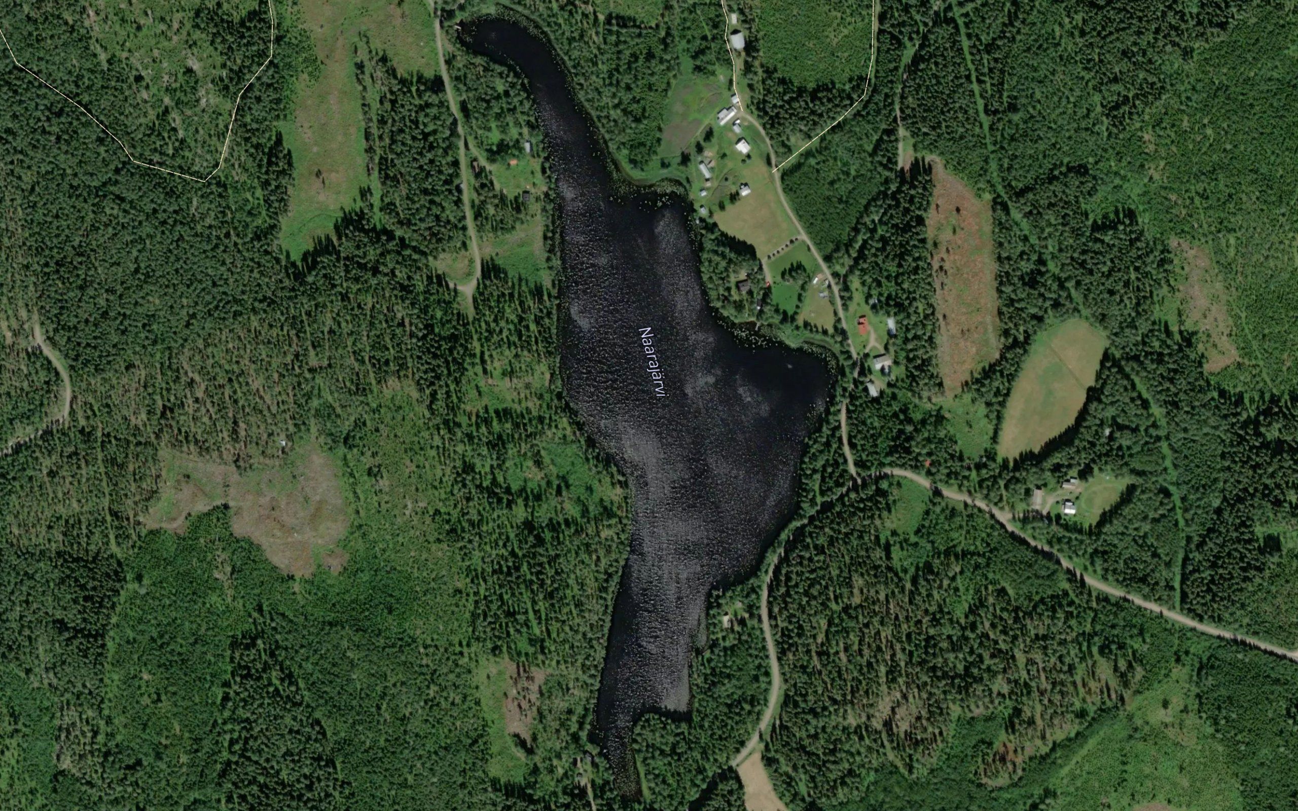 Naarajarvi