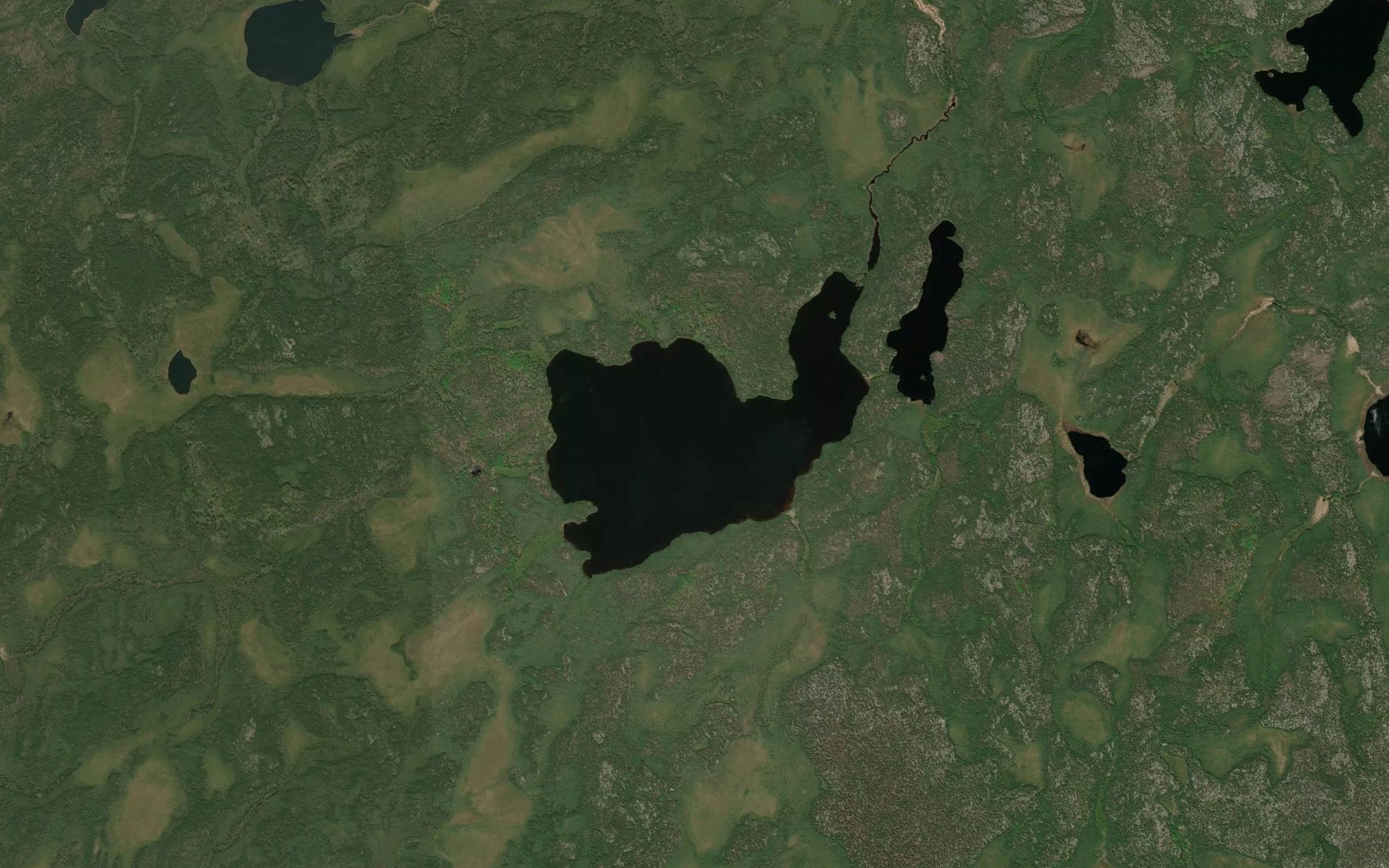 Satellite map of the Wyman Lake