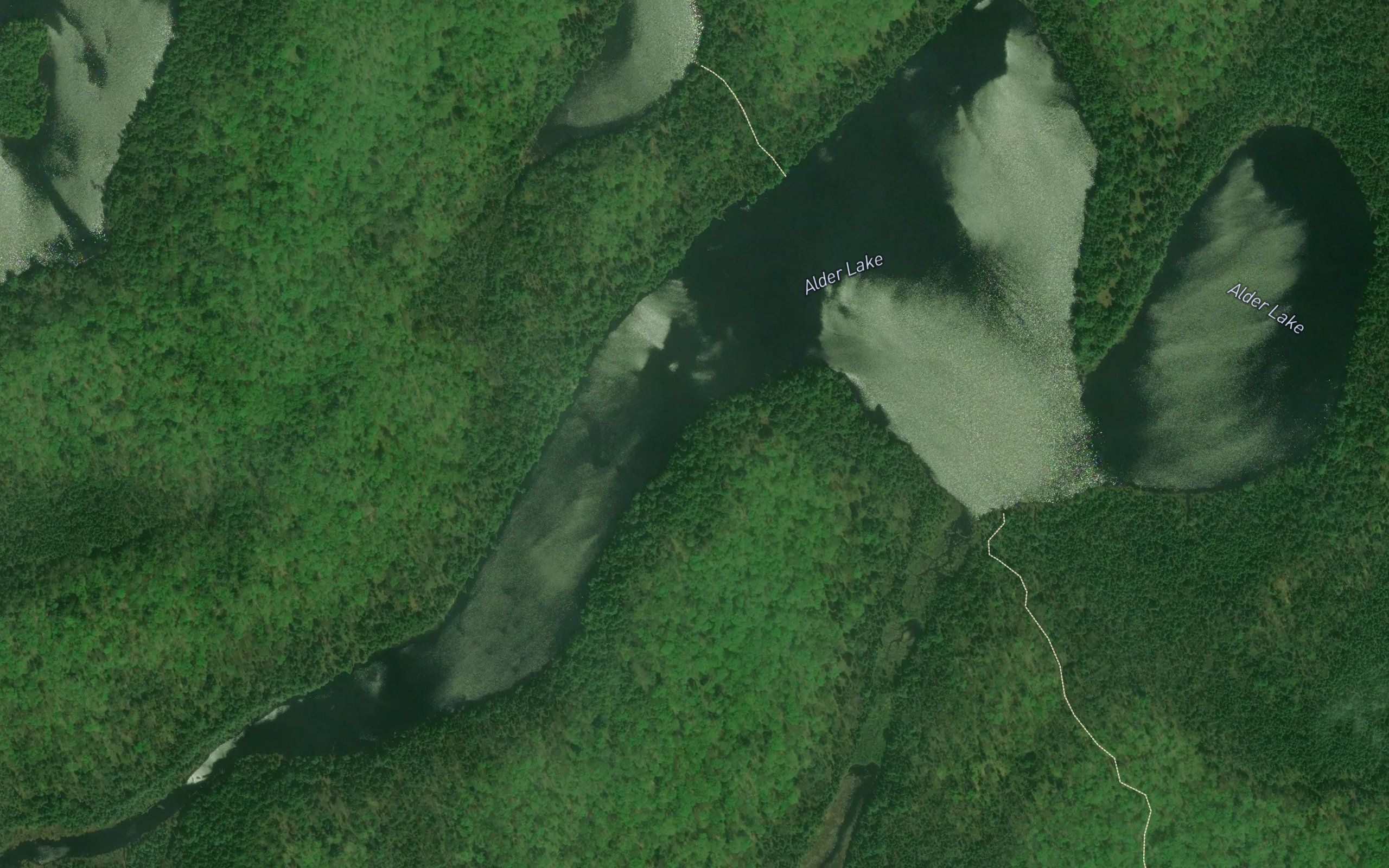 Alder Lake