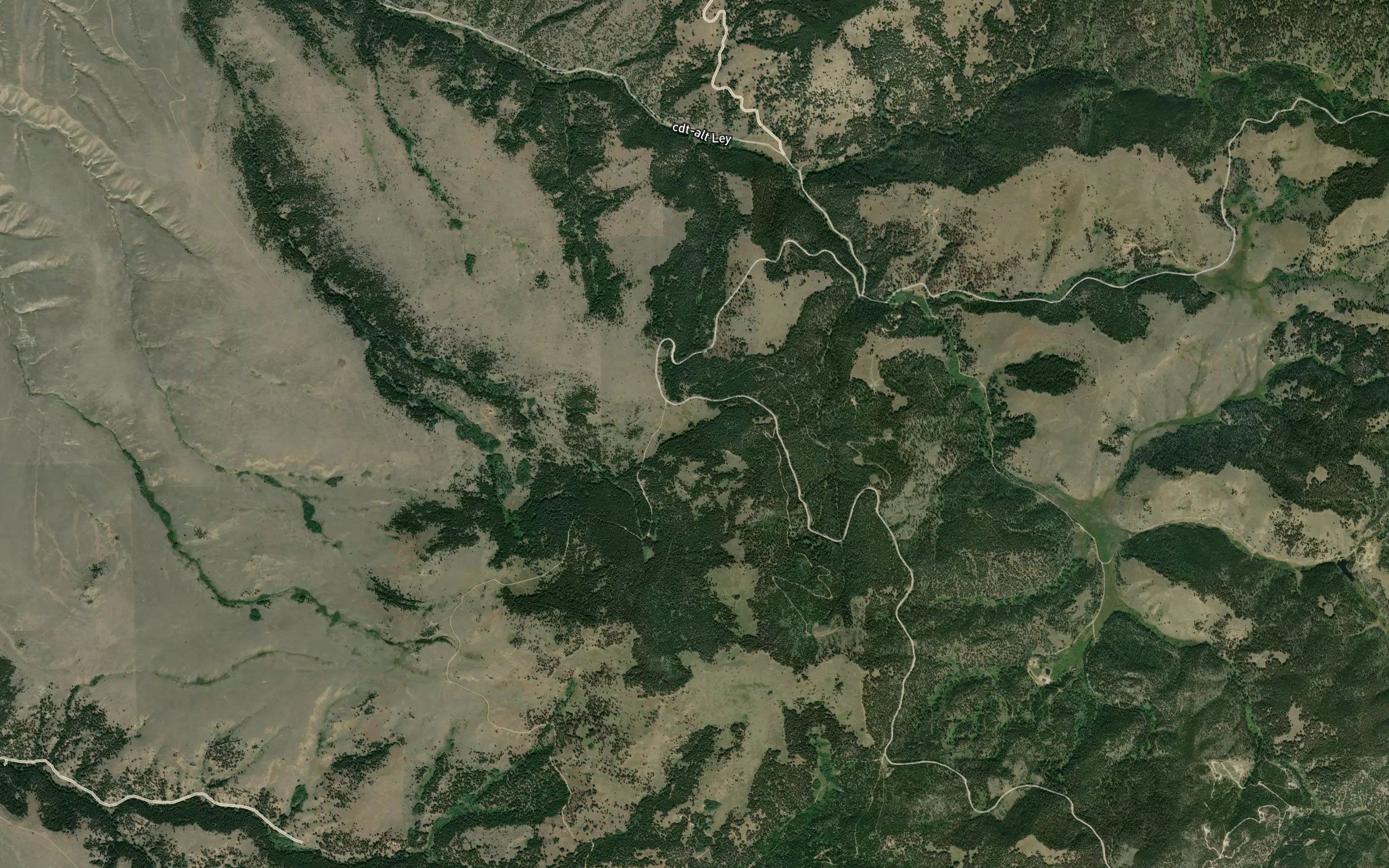 Barrel Springs