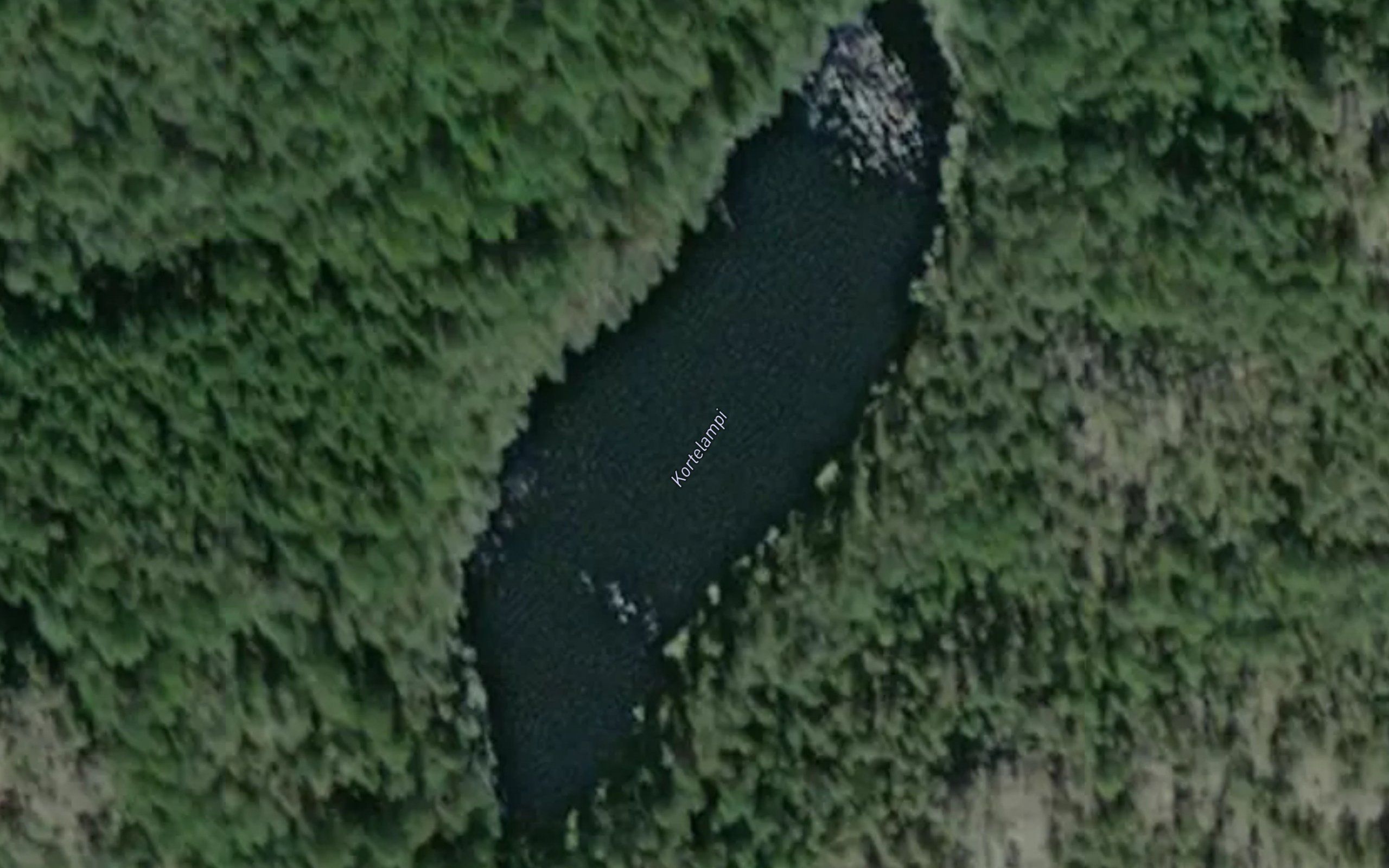 Kortelampi