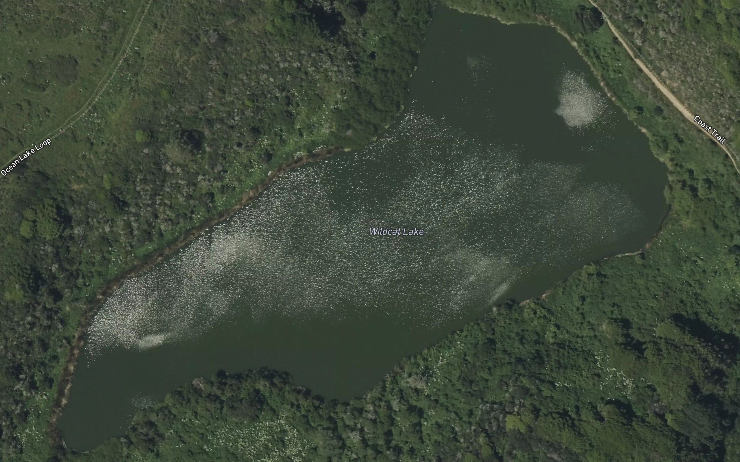 Wildcat Lake