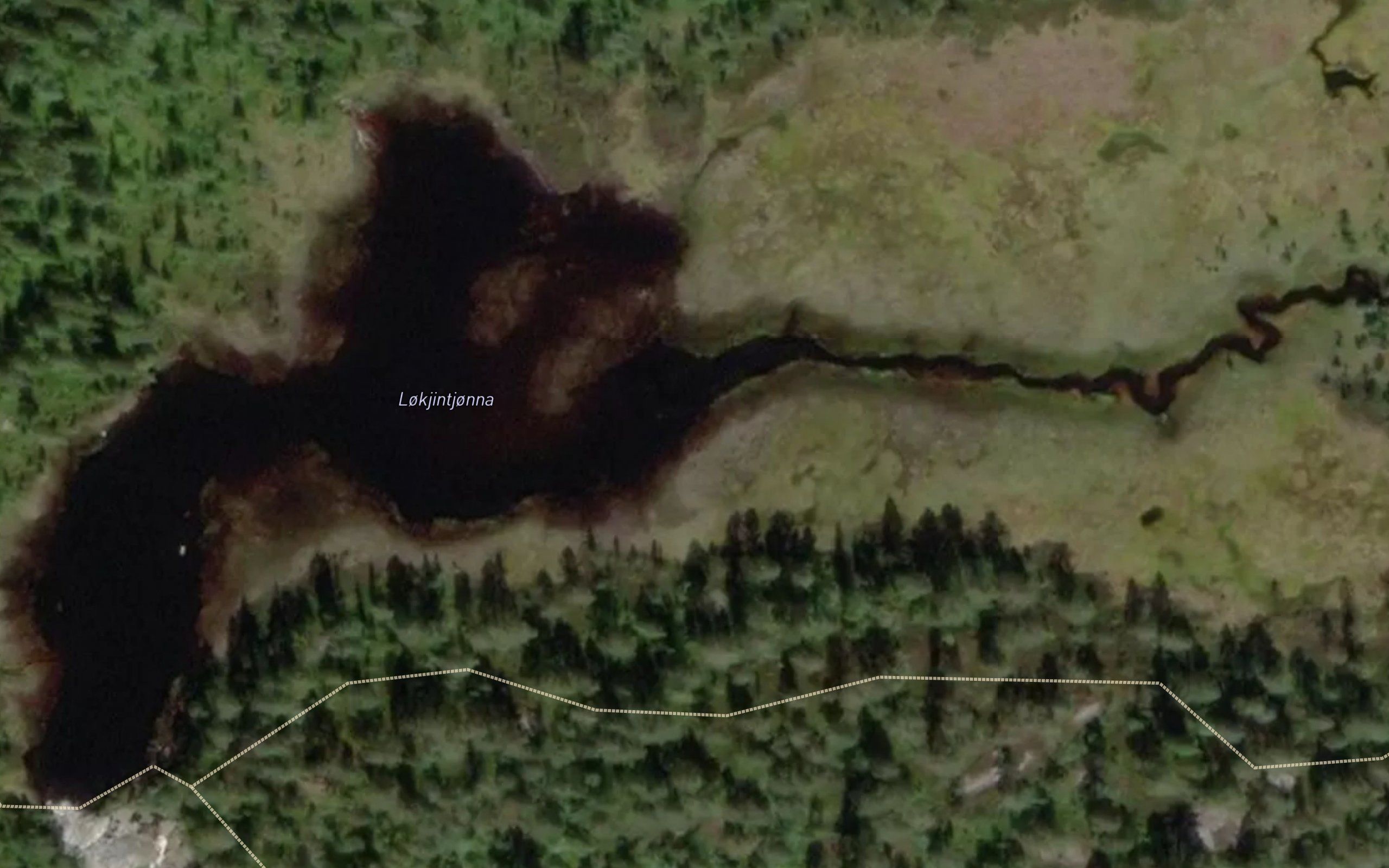 Lokjintjonna