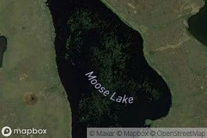 Moose Lake
