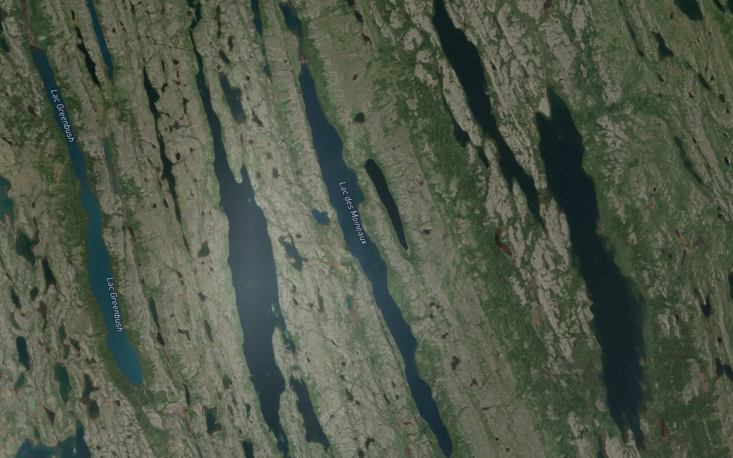 Lac des Moineaux