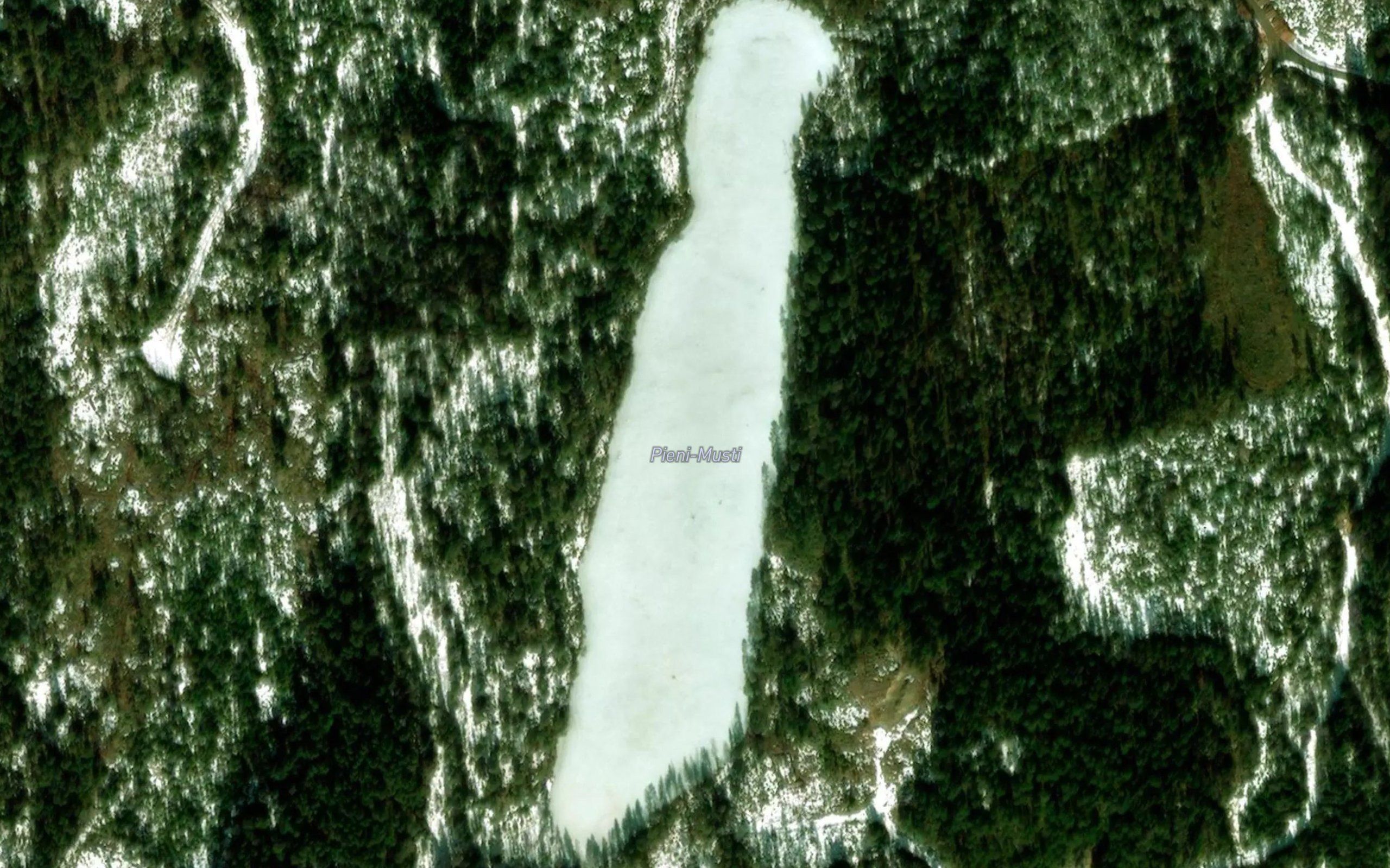 Pieni-Musti