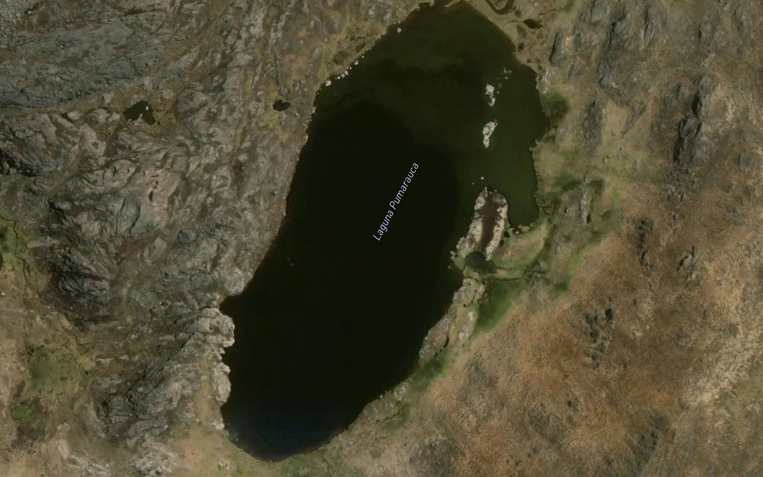 Laguna Pumarauca