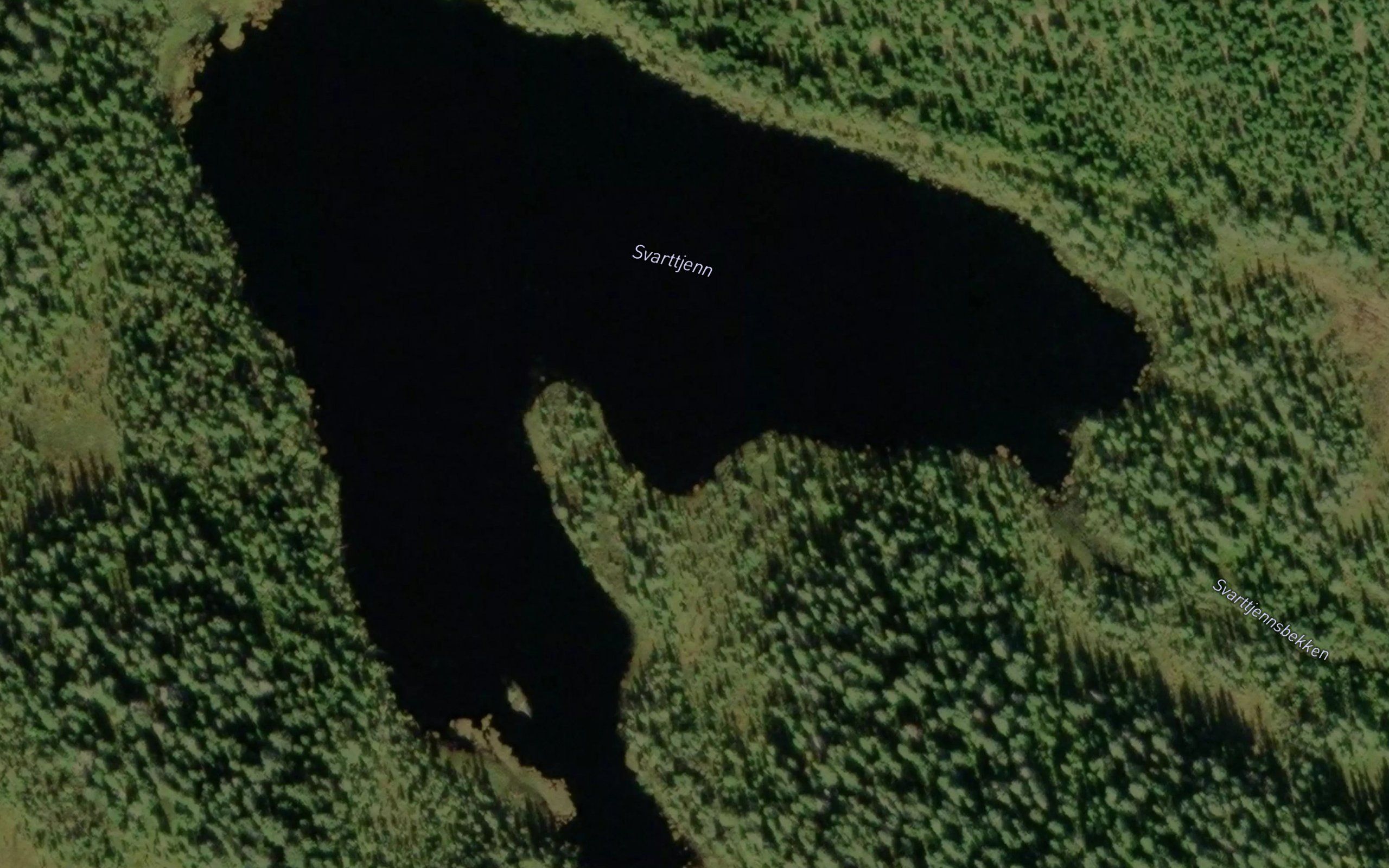 Svarttjern