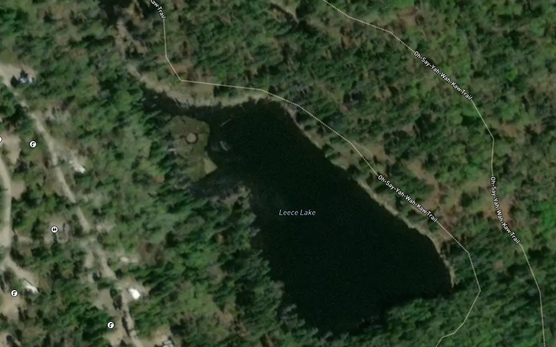 Satellite map of the Leece Lake