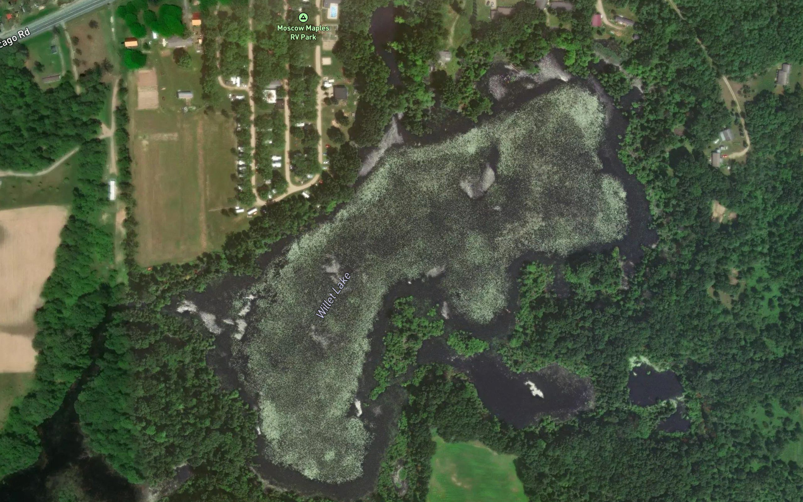 Willet Lake