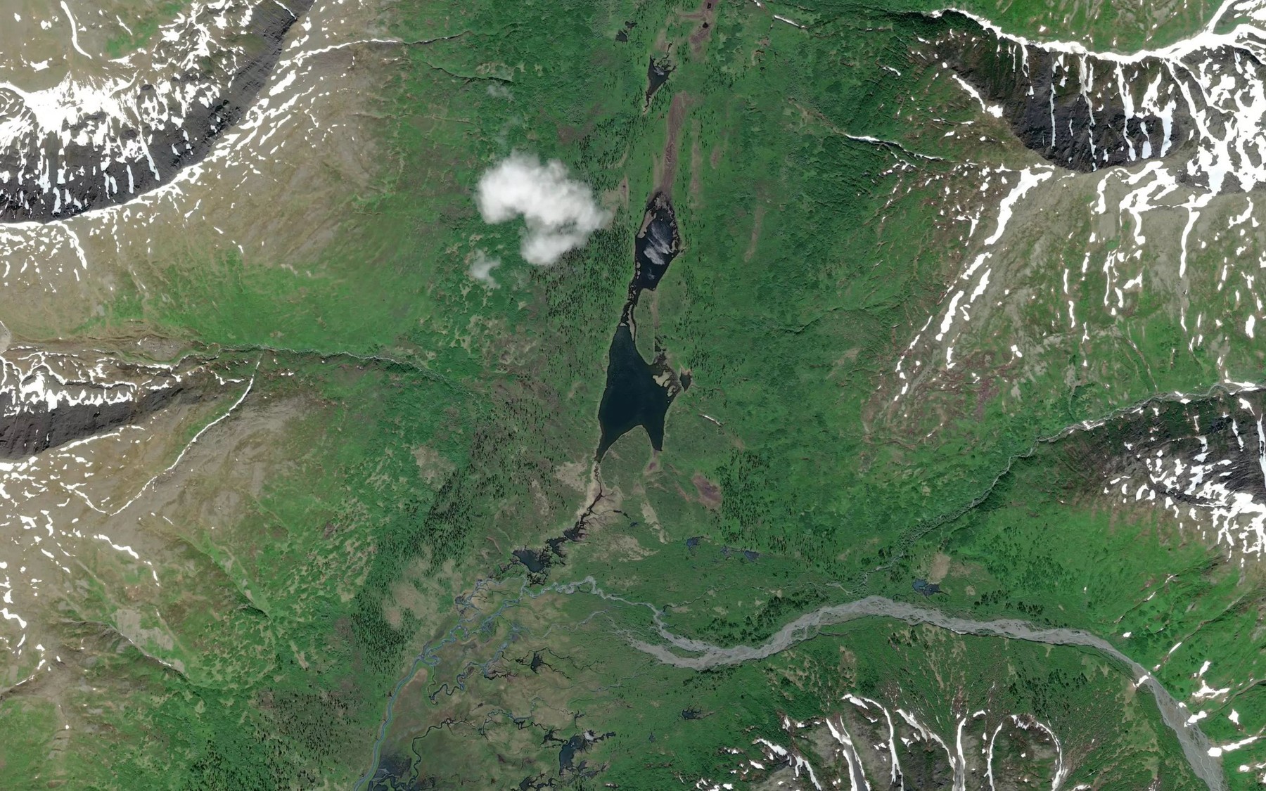 Satellite map of the Moose Creek Lake
