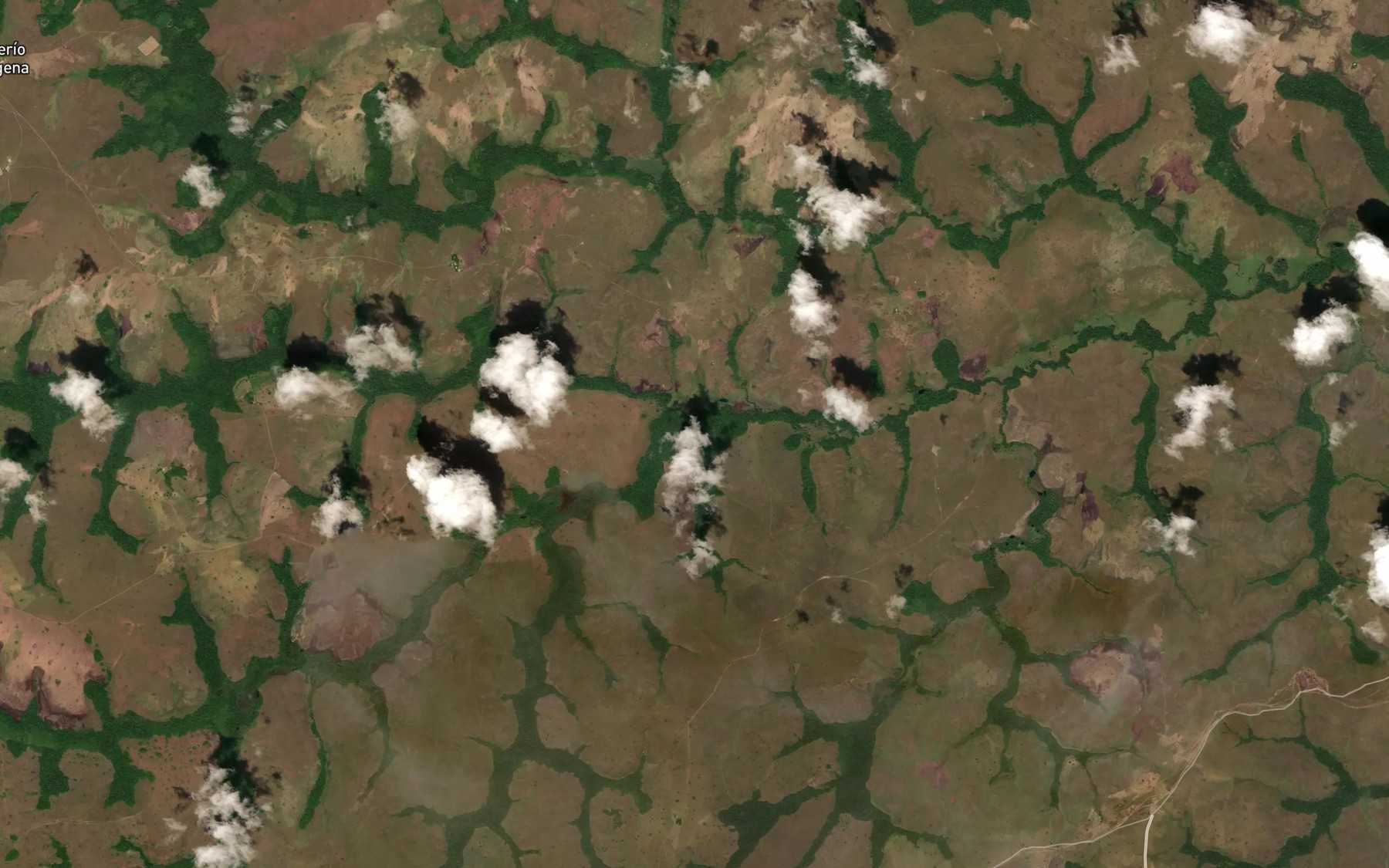 Satellite map of the Cano Dolivo