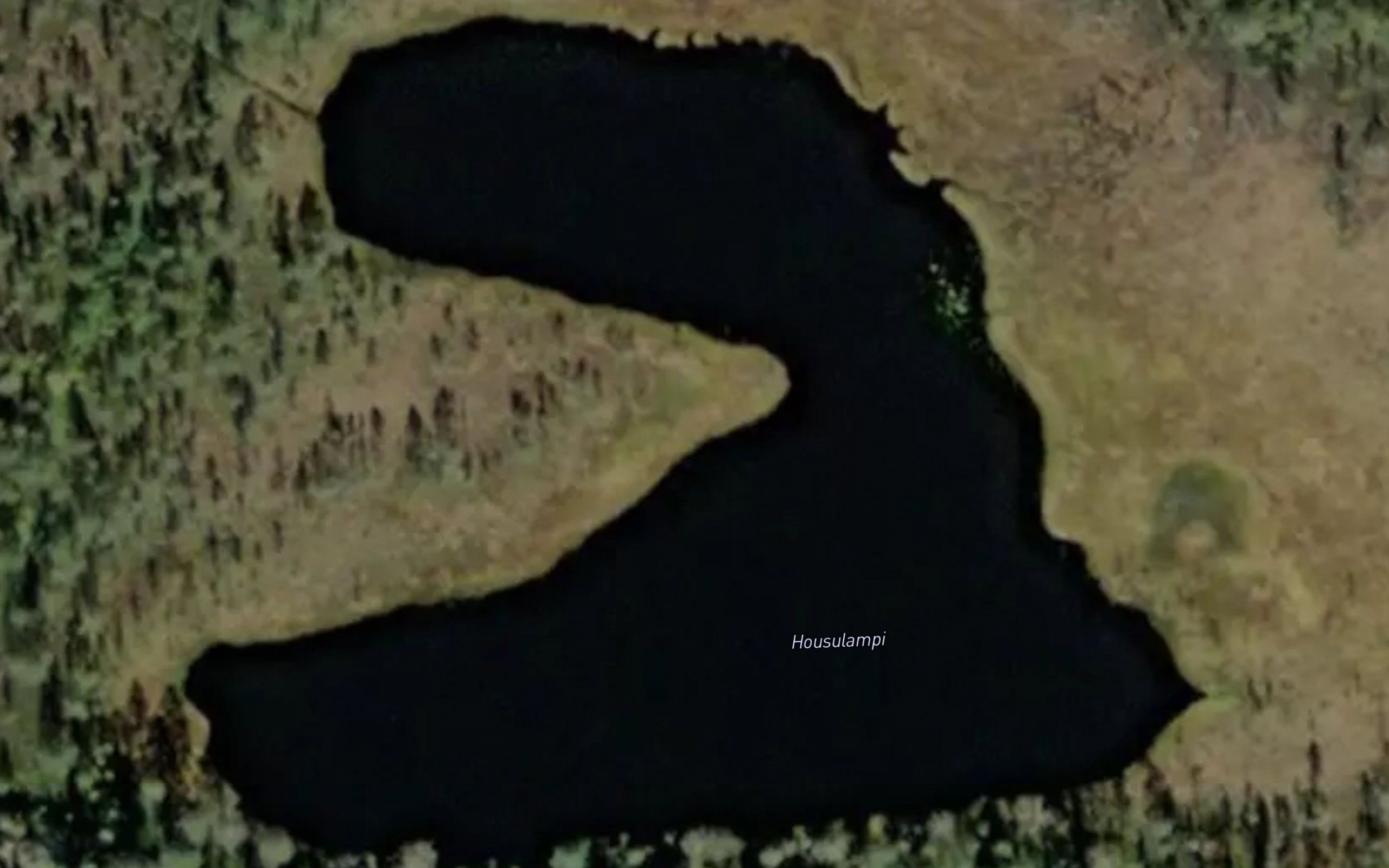 Housulampi