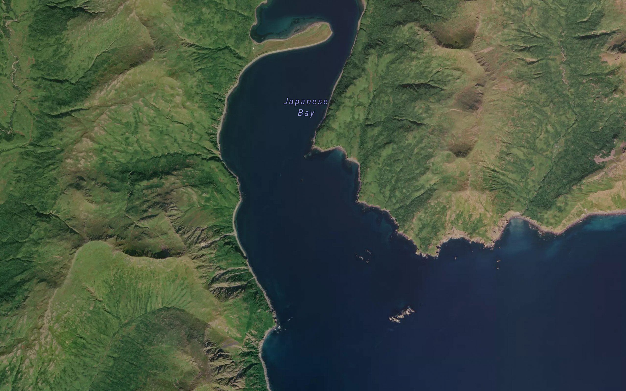 Japanese Bay