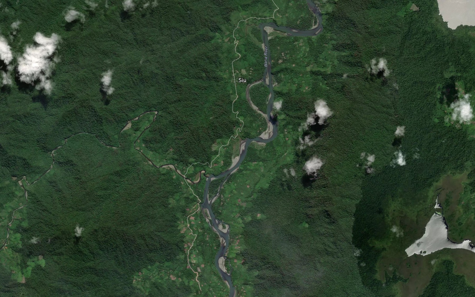 Satellite map of the Wiwo River