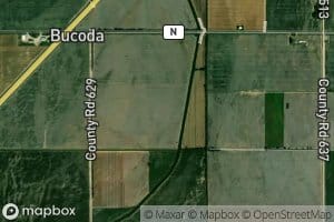 Honey Cypress Ditch Number 34