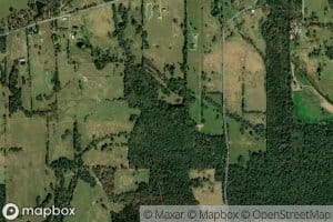 Coon Creek