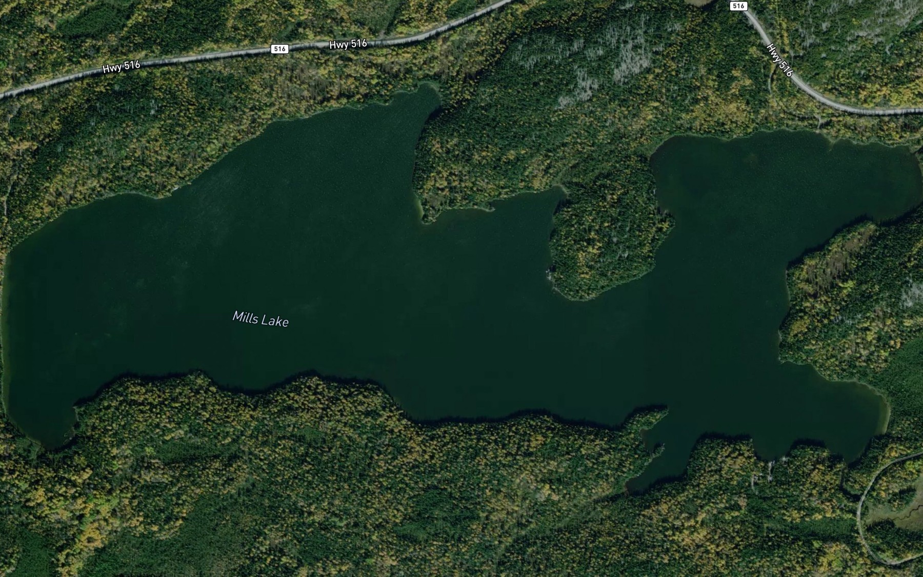 Satellite map of the Mills Lake