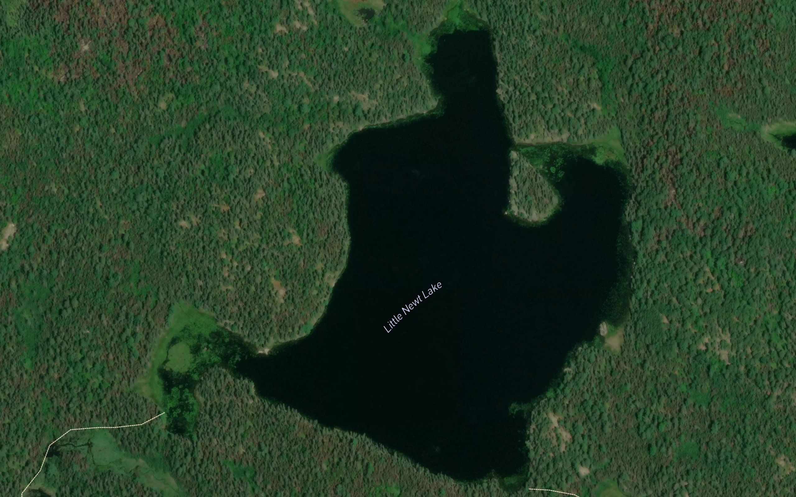 Little Newt Lake