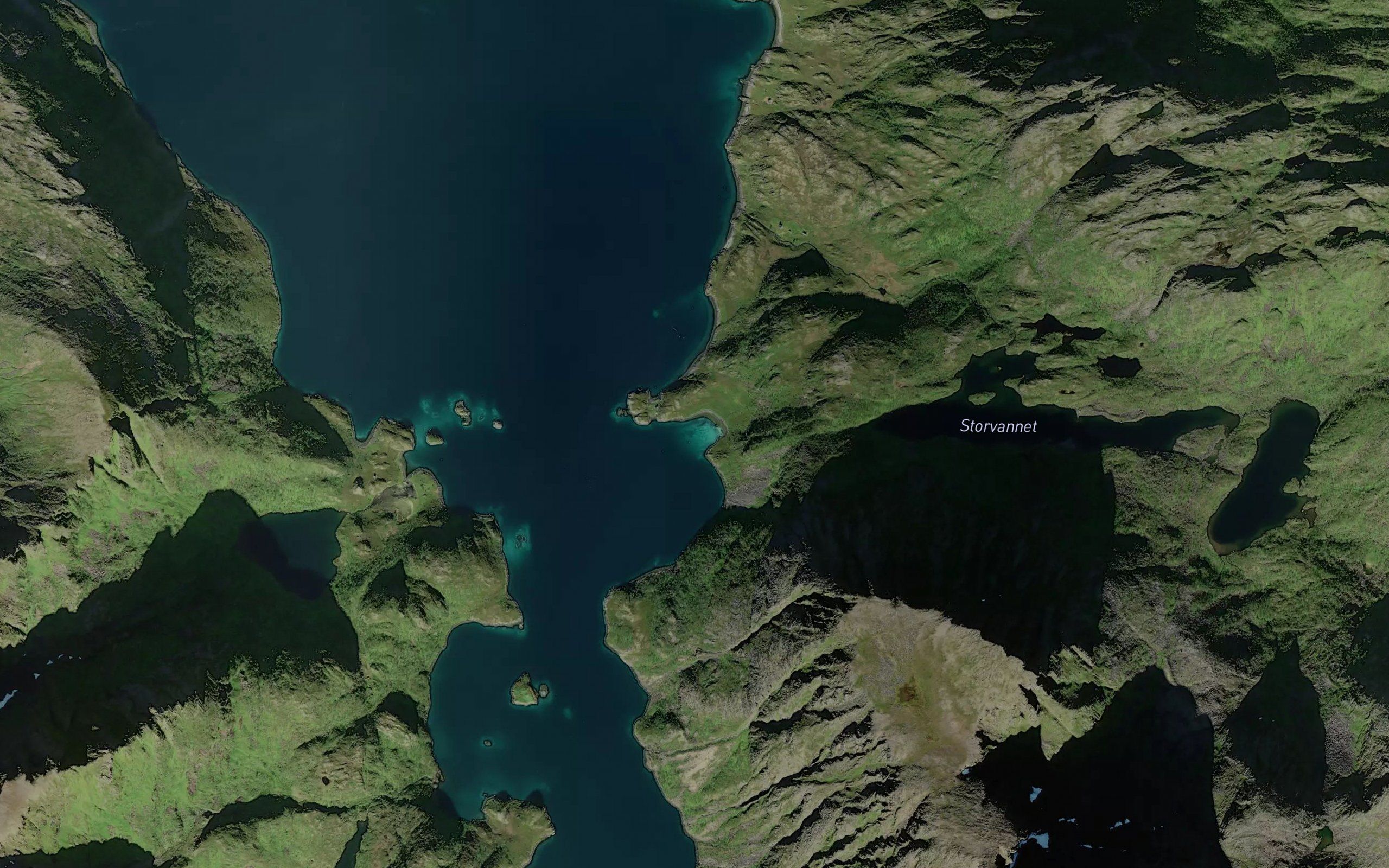 Hamnebukta