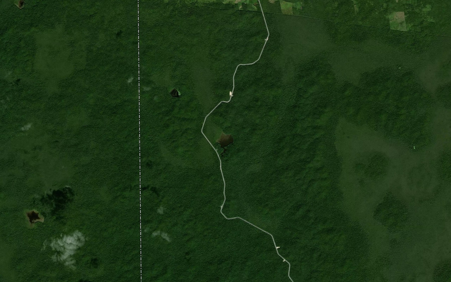 Satellite map of the Laguna las Palmas