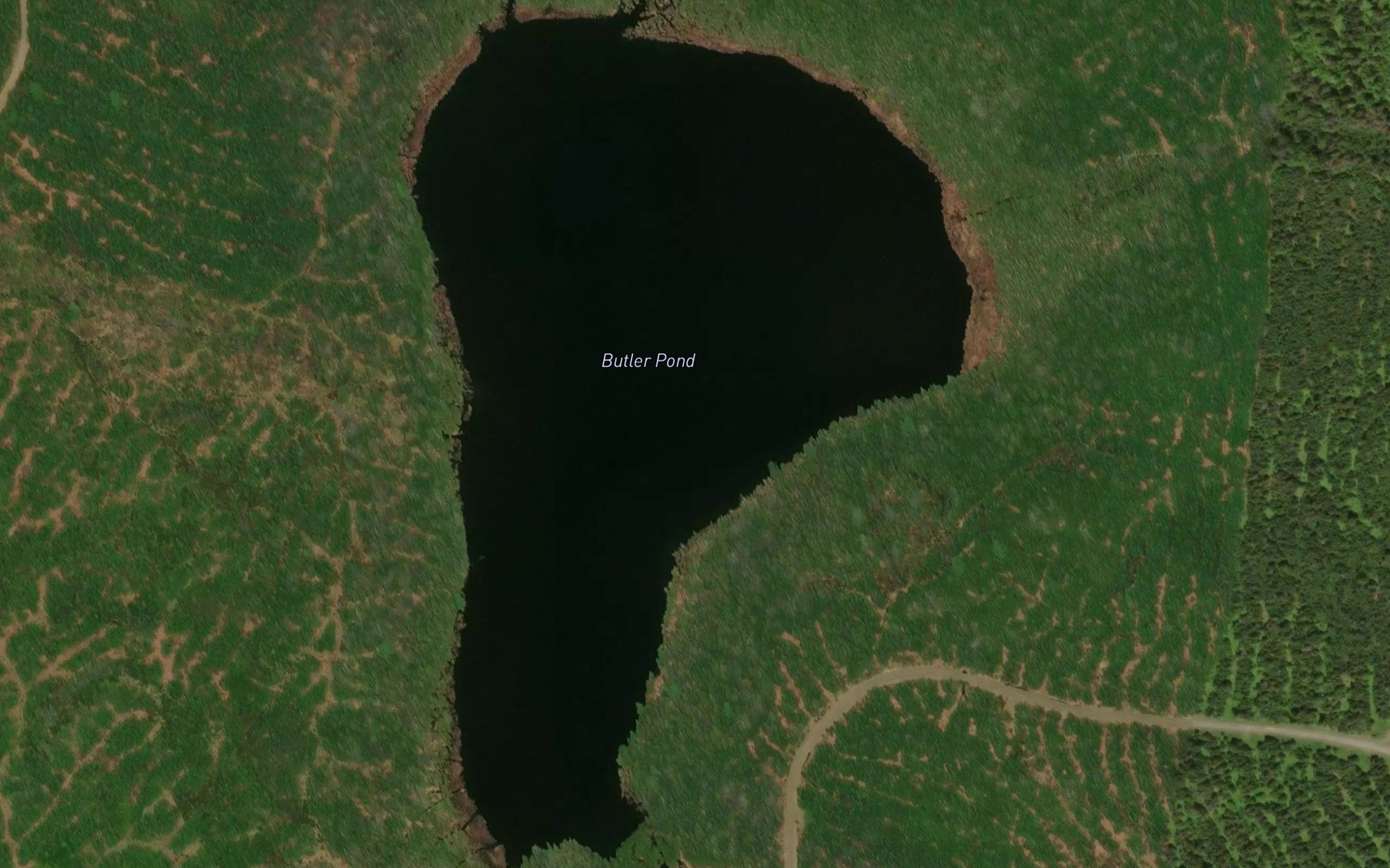 Butler Pond