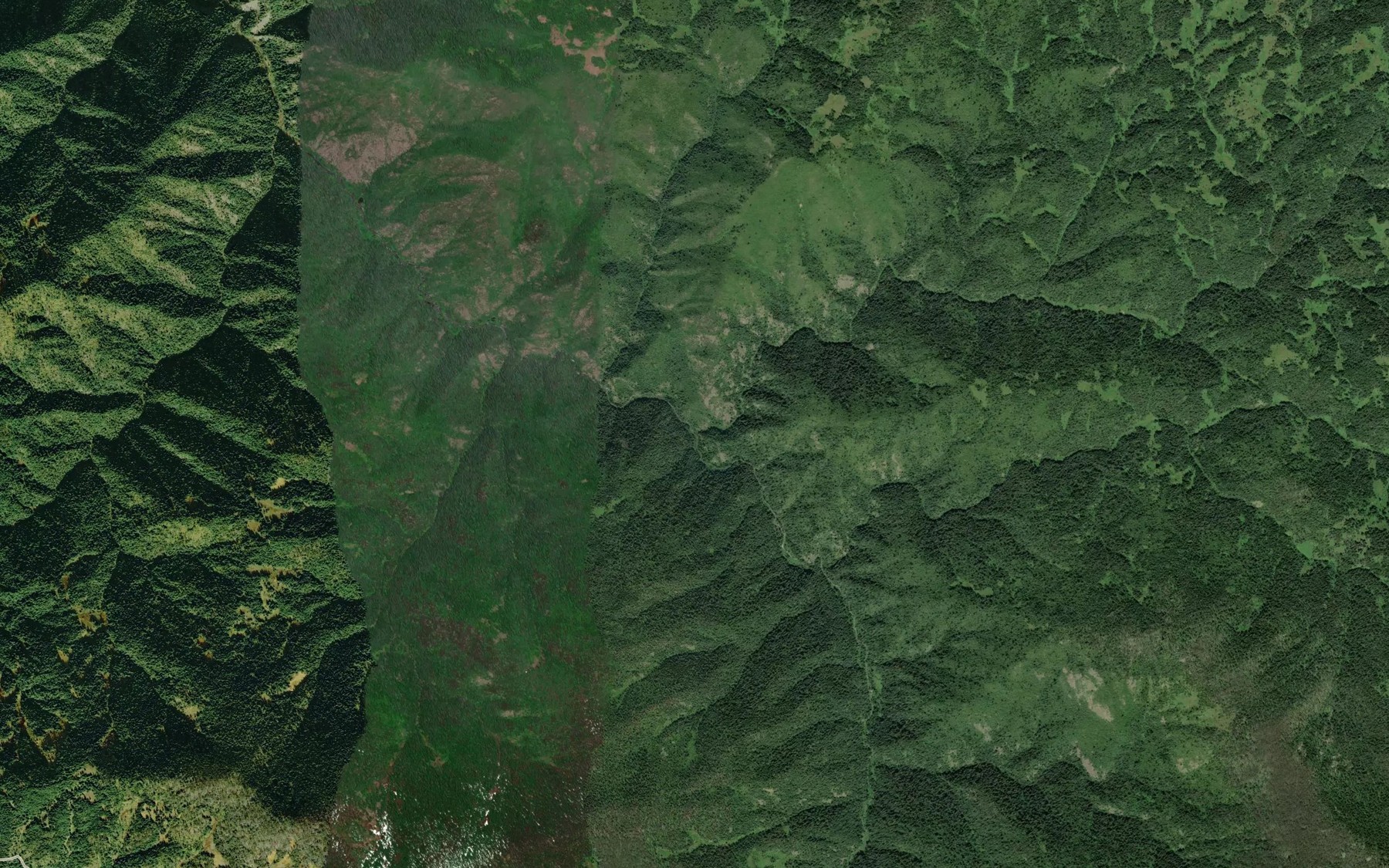 Satellite map of the Shot Creek