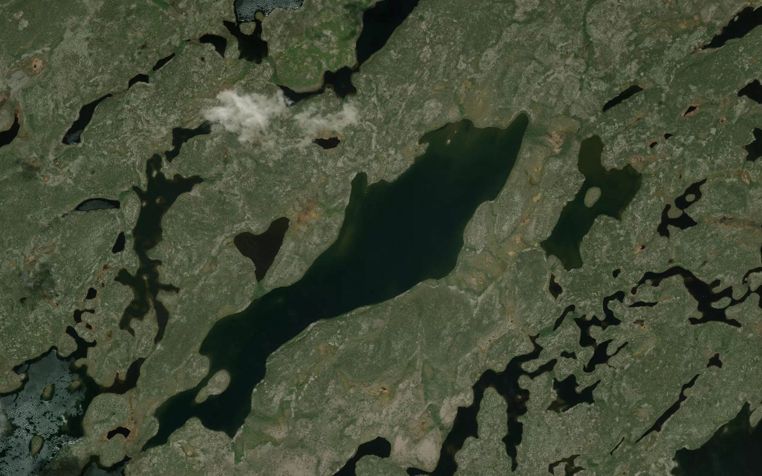 Cruse Lake