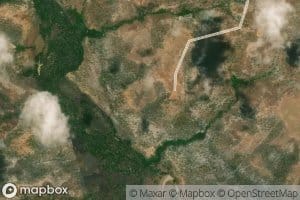 Morichal Cano del Medio