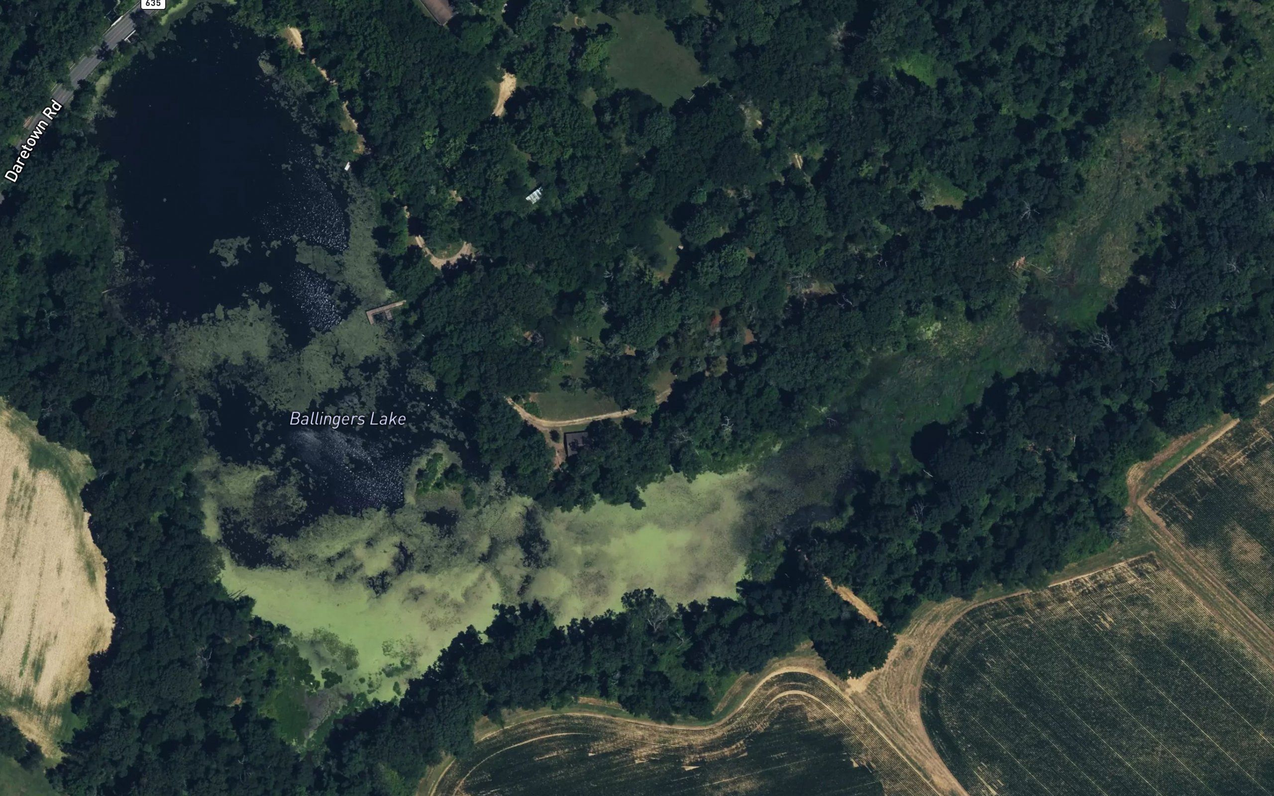 Ballingers Lake