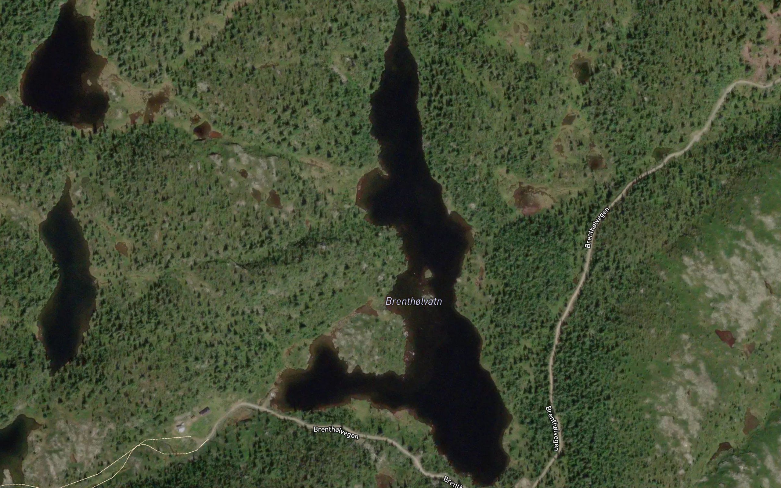 Brentholvatnet