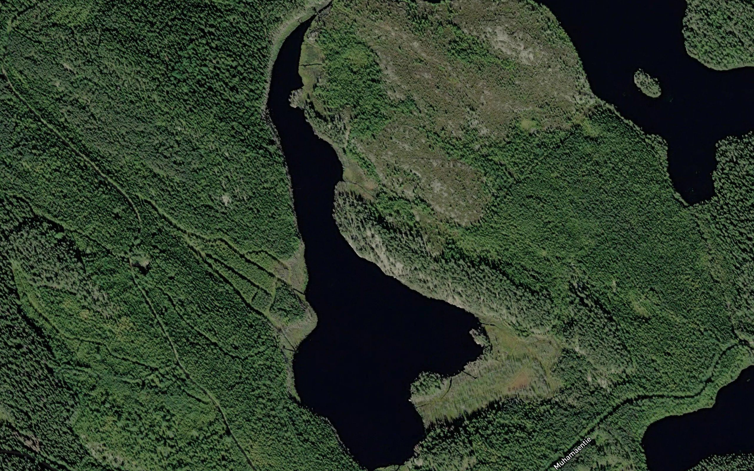 Keskimmainen Raatelampi