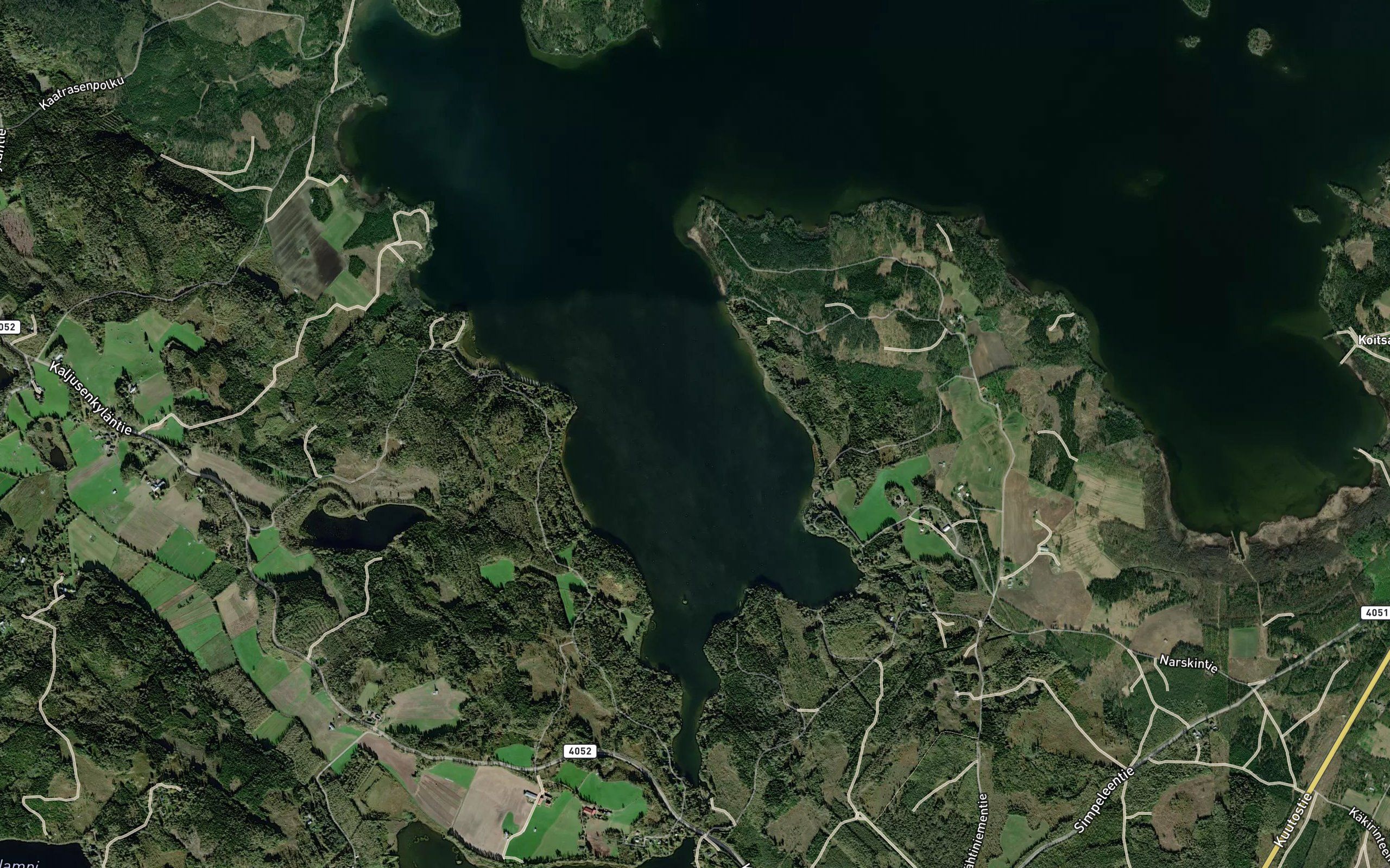 Saviniemenselka