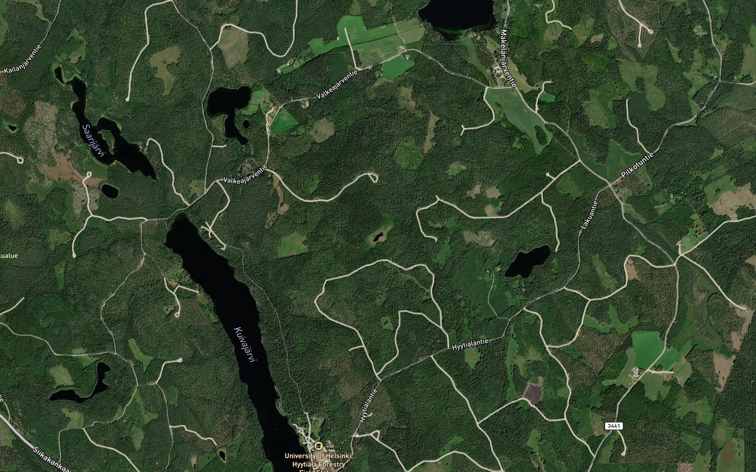 Silmapaanlammi