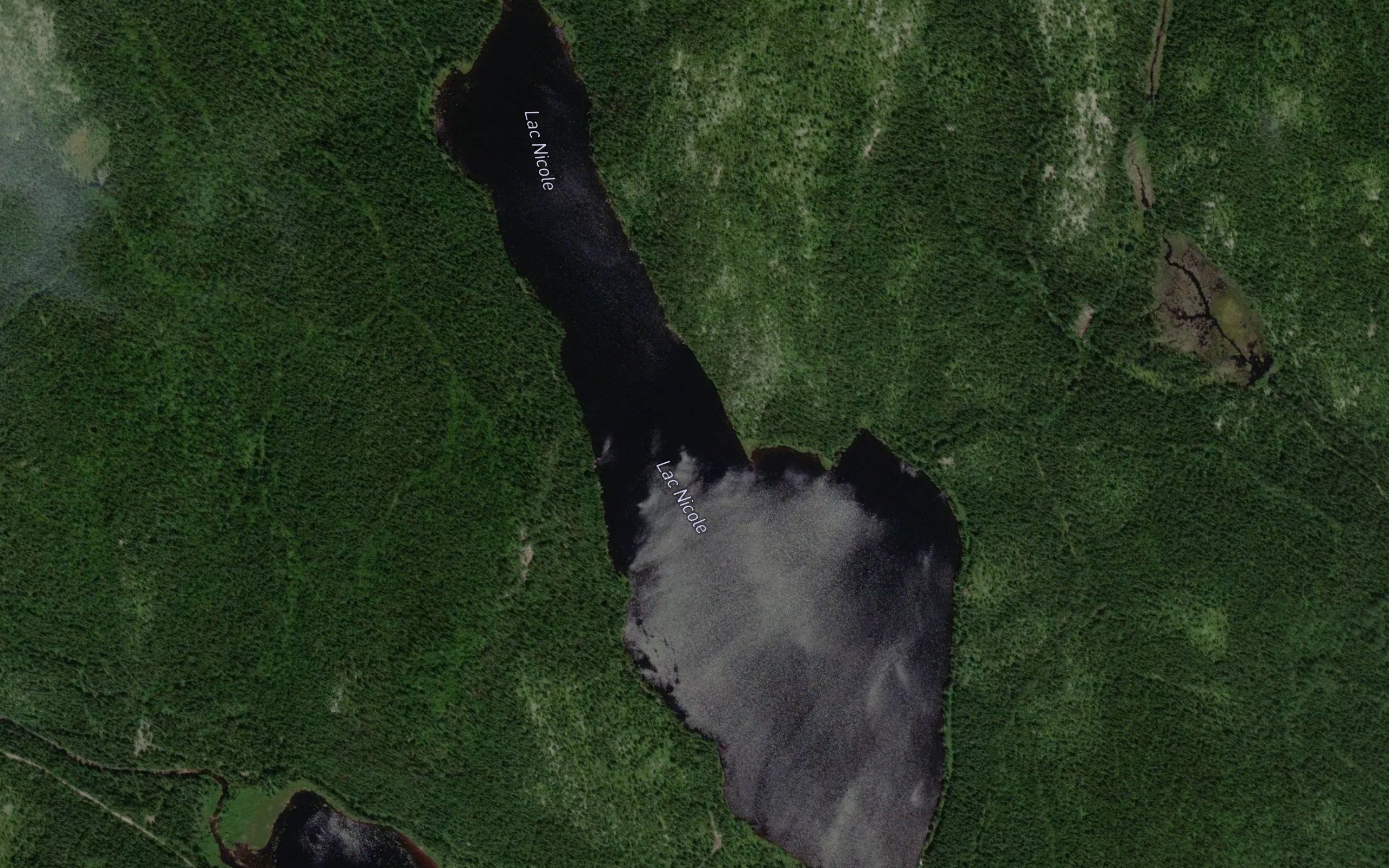 Lac Nicole