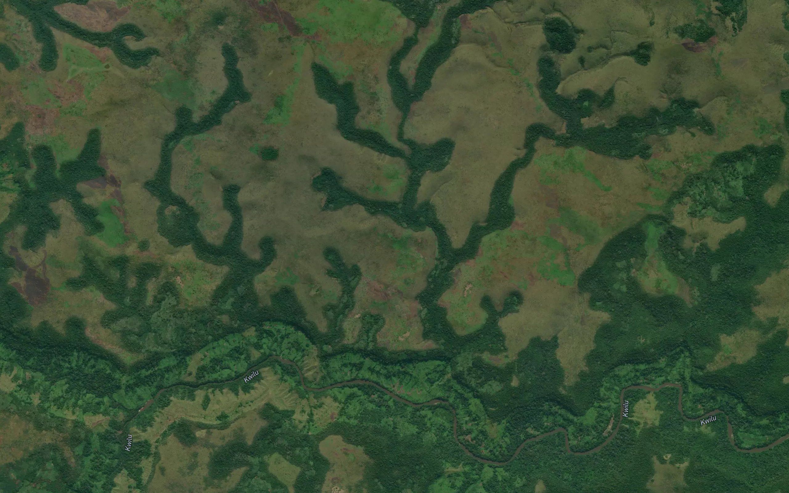 Zaza