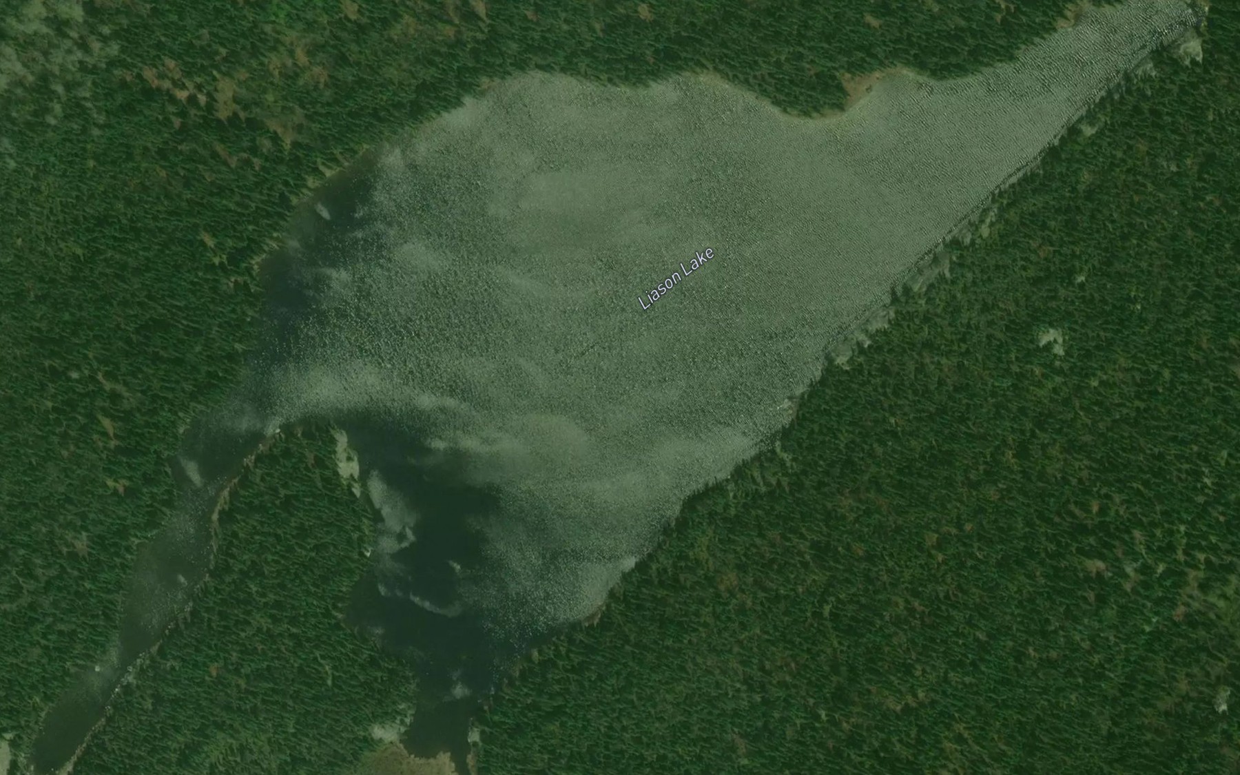 Satellite map of the Liason Lake
