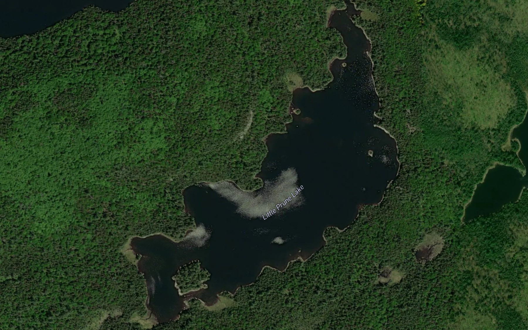 Satellite map of the Little Prune Lake