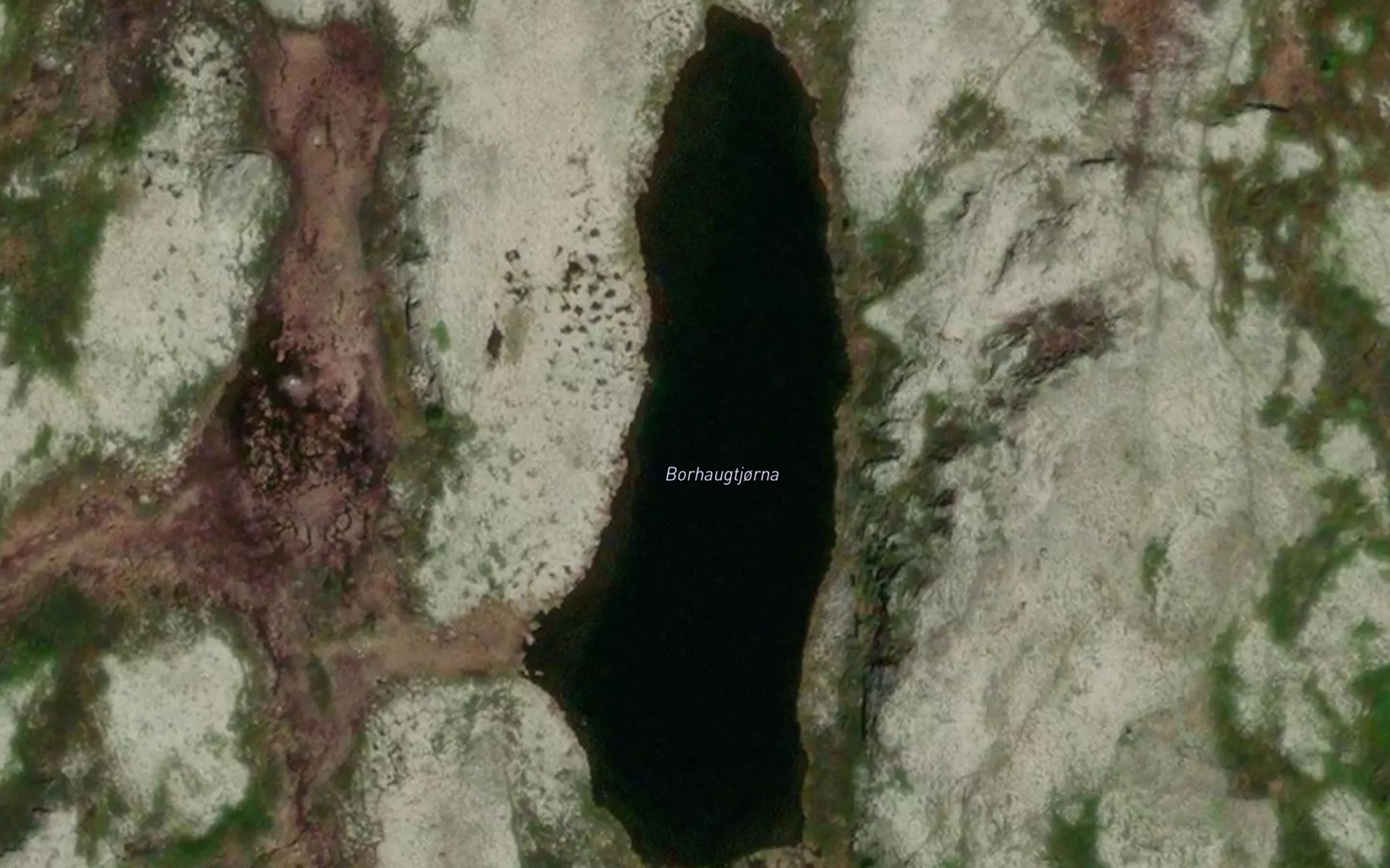 Satellite map of the Borhaugtjorna