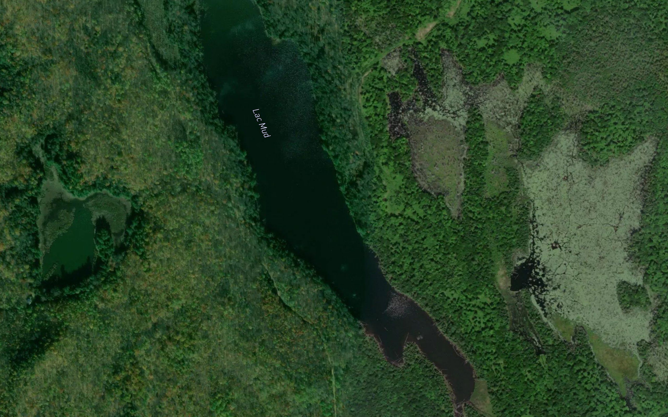 Lac Mud