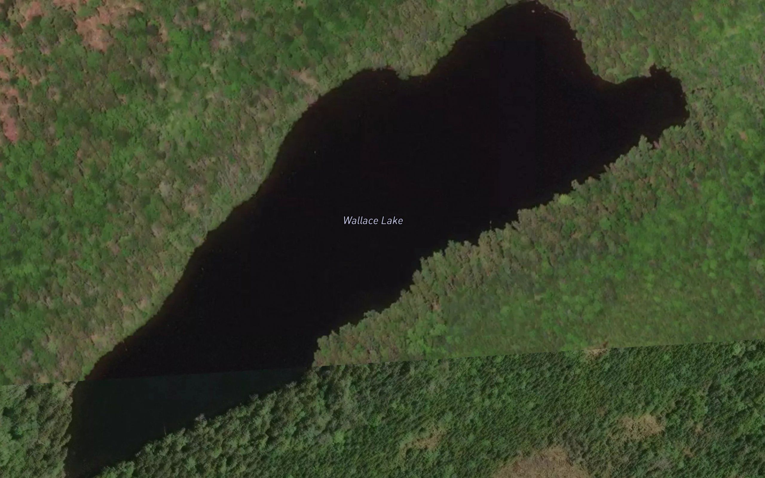 Wallace Lake