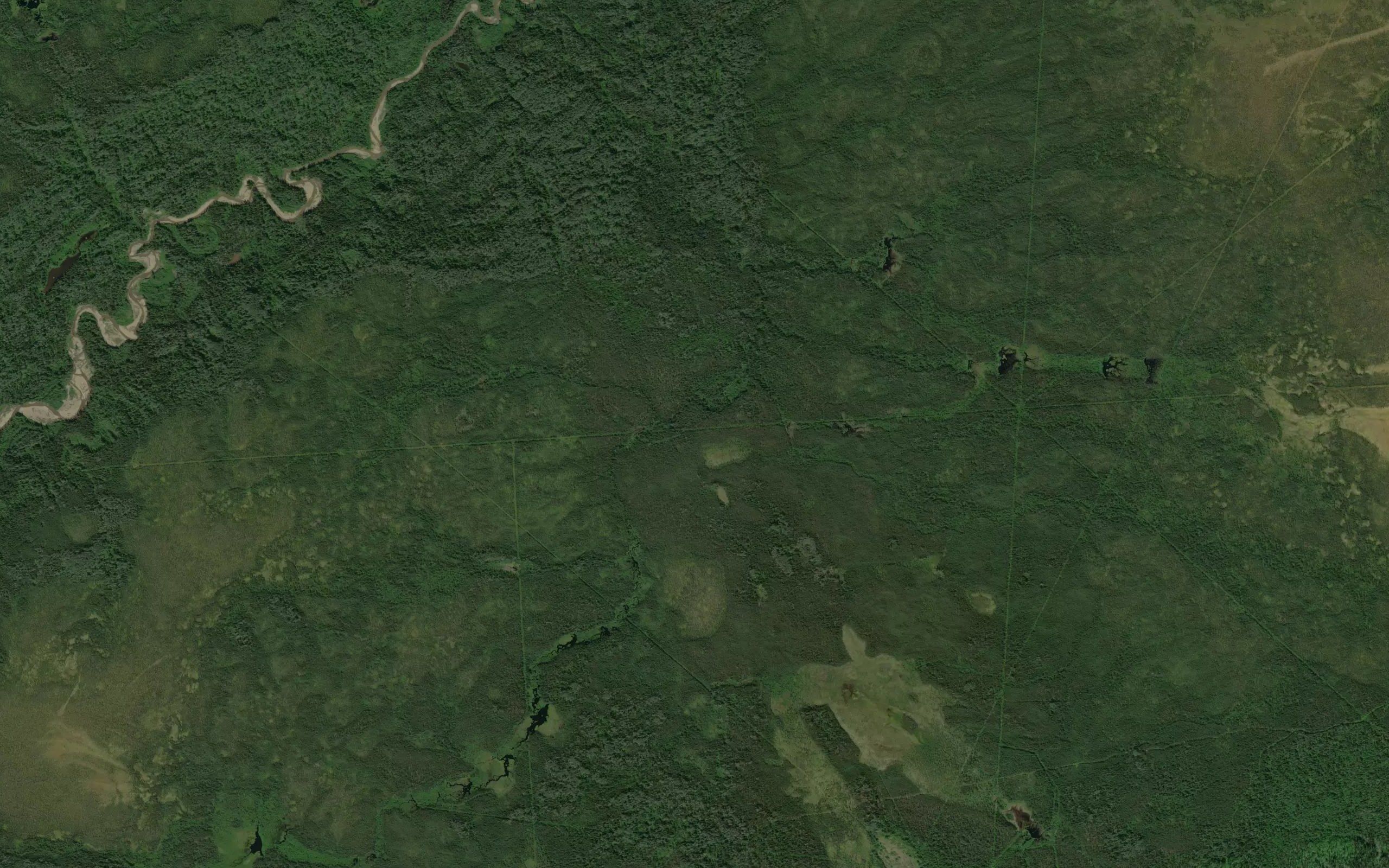 Tussock Creek