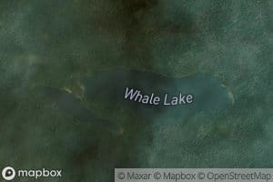 Whale Lake