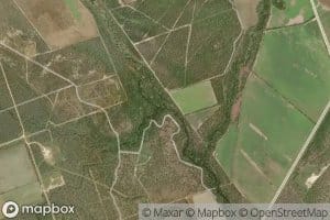 Carrizo Creek