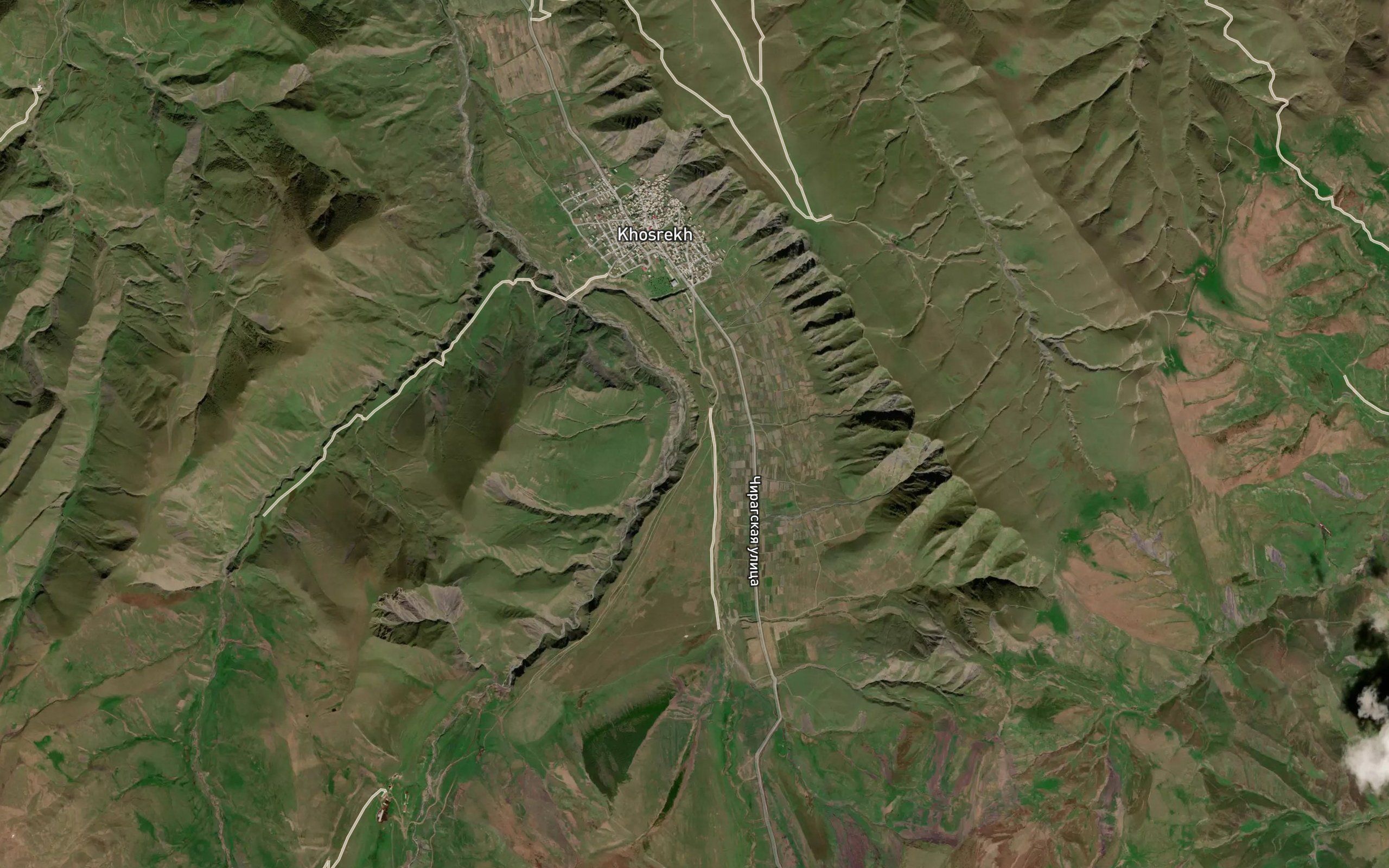 Viralyu