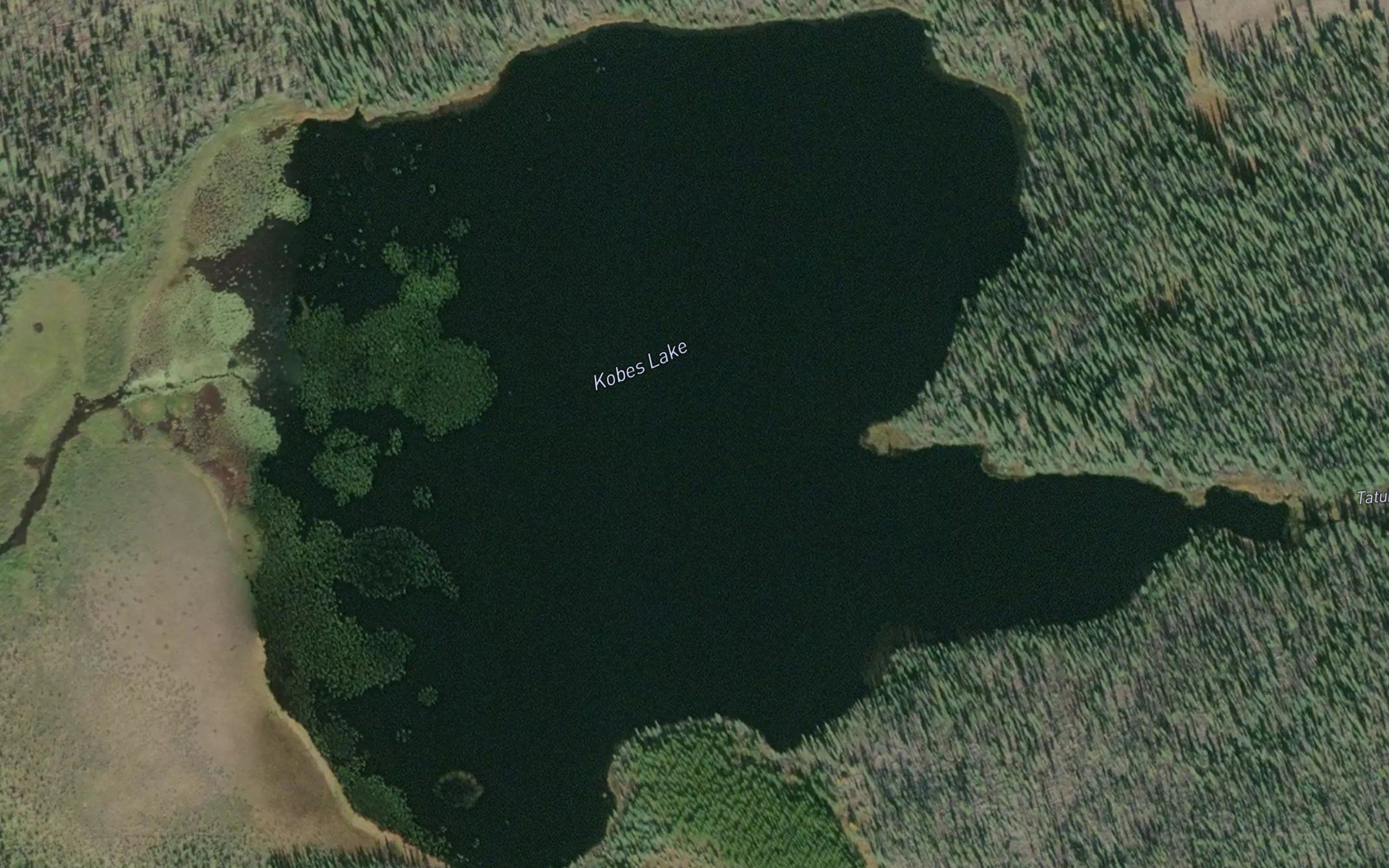 Kobes Lake
