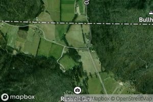 Chuck Cove Branch